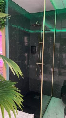 a shower with a glass door in a bathroom at Murano Gold Gîte avec SPA & SAUNA Privatif in Landrethun-le-Nord