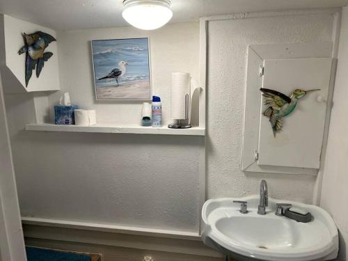 a bathroom with a sink and a bird on the wall at Key Largo Surfside Beach, Texas in Freeport