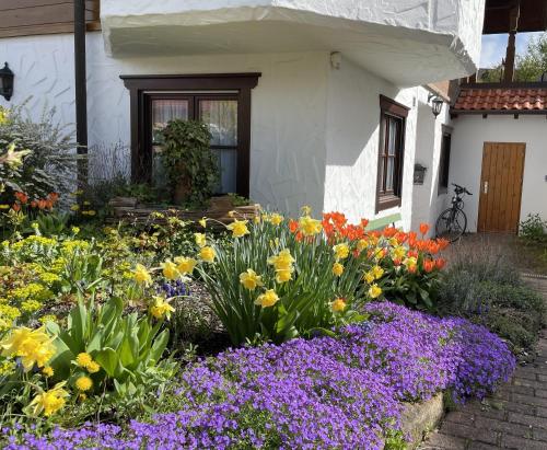 a garden of flowers in front of a house at Ferienwohnung im Grünen in Zaberfeld