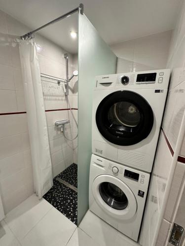een wasmachine in een badkamer met een douche bij Rasa Apartment in Jelgava