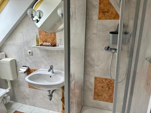 La salle de bains est pourvue d'un lavabo et d'une douche. dans l'établissement Landhaus am Schaalsee, à Zarrentin