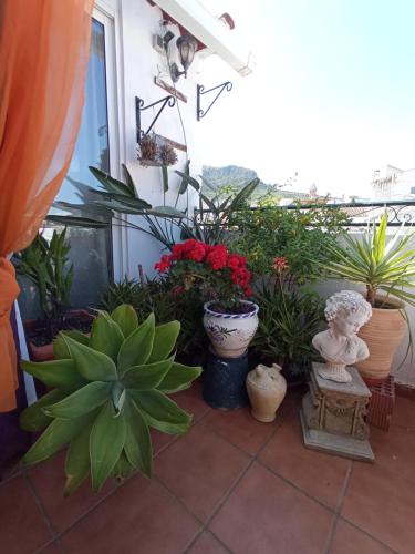 a patio with a bunch of plants and flowers at Hostal R-Conecta in Cuevas de San Marcos