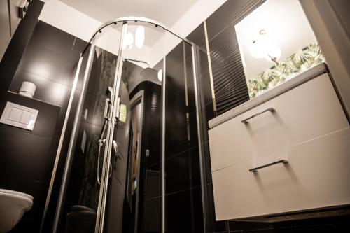 eine Glasdusche im Bad mit schwarzen Wänden in der Unterkunft Amazing Apartment - Palas Mall in Iaşi