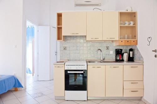 Kuchyň nebo kuchyňský kout v ubytování Villa Elena