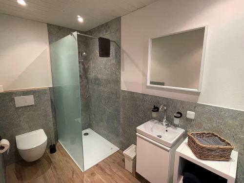 a bathroom with a shower and a toilet and a sink at Wandern, Reiten und die Seele baumeln lassen in Dickschied