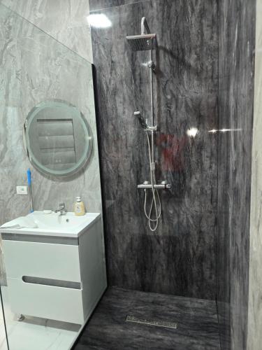 uma casa de banho com um chuveiro, um lavatório e um espelho. em Terra Residence Beiuș em Beius