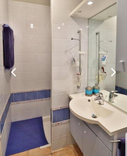 une salle de bain avec un lavabo et une douche avec un miroir dans l'établissement Gîte des Vignerons, à Salles-d'Aude