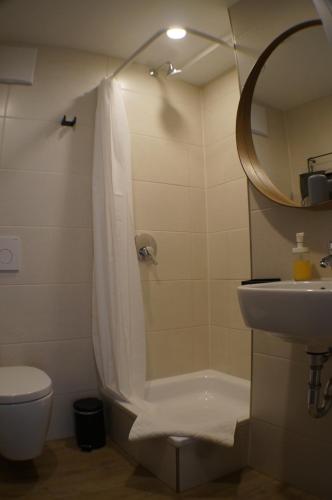 a bathroom with a shower and a toilet and a sink at Hofgut Stefan in Uhldingen-Mühlhofen