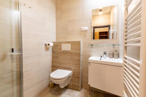 a small bathroom with a toilet and a sink at Penzion Kormorán in Vranov nad Dyjí