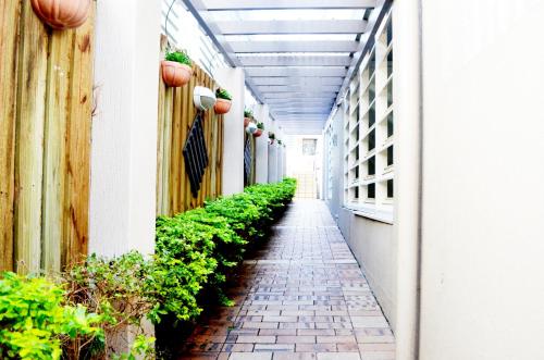 a walkway with a bunch of plants in it at Spring Hill Mews Apartments in Brisbane