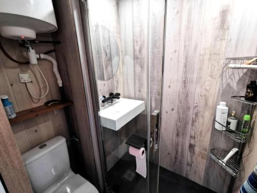 une petite salle de bain avec un lavabo et des toilettes dans l'établissement Résidence Les Arenes - STUDIO 4 PERSONNES 4 couchages PORT LEUCATE MAE-7051, à Leucate