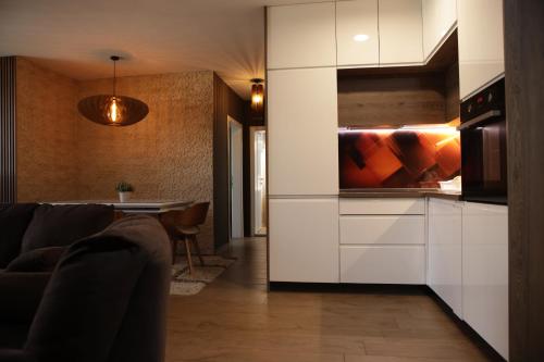 Η κουζίνα ή μικρή κουζίνα στο SkopjeLUX Apartments