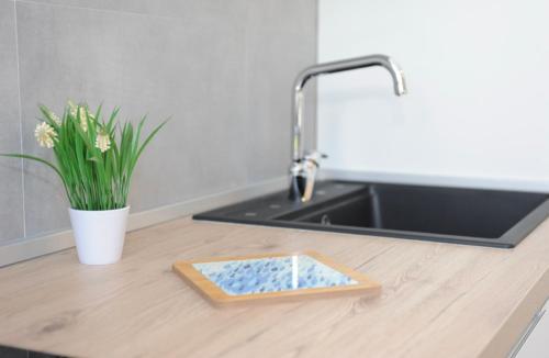 a kitchen counter with a sink and a plate on it at 2 Camere 50m dal Mare e Parcheggio Privato in Marina di Pietrasanta