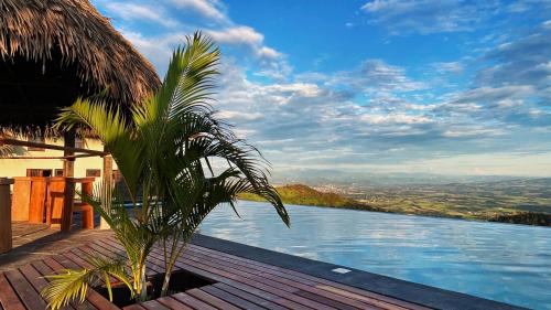 una palmera sentada en una terraza junto a una piscina en El Resort de Yanashpa - Tarapoto, en Tarapoto