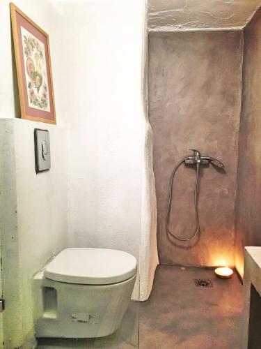 a bathroom with a toilet and a shower at Pelion country house in Volos