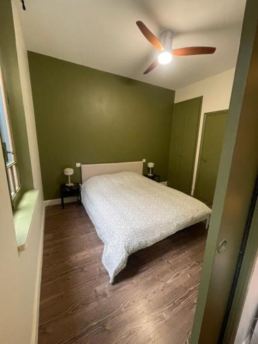 - une chambre verte avec un lit et un ventilateur de plafond dans l'établissement Appartement au cœur du centre ville de Carcassonne, à Carcassonne