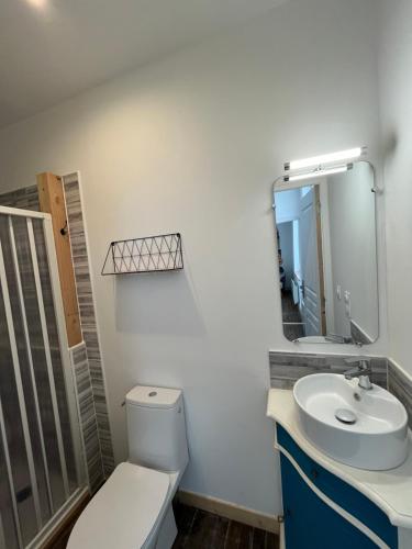 une salle de bain avec toilettes, lavabo et miroir dans l'établissement TY GWEN Appart1, à Châteaulin