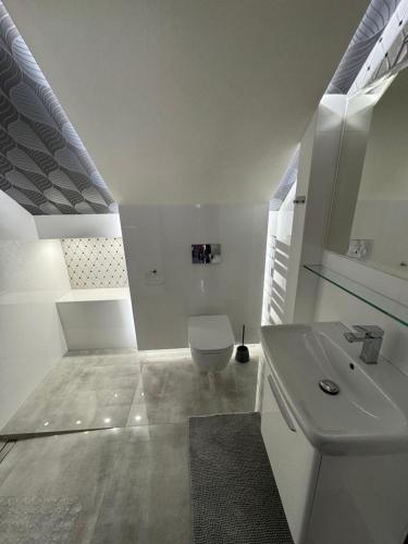 Un baño blanco con inodoro y lavabo. en Agroturystyka Domilo Mzyki, en Koziegłowy