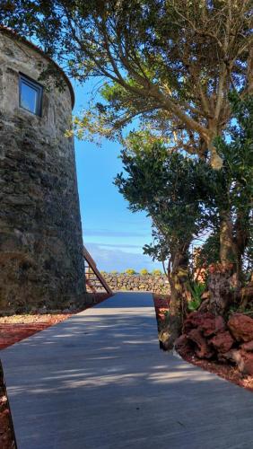 uma estrada com uma parede de pedra e árvores ao lado em Casas do Tareco em Biscoitos