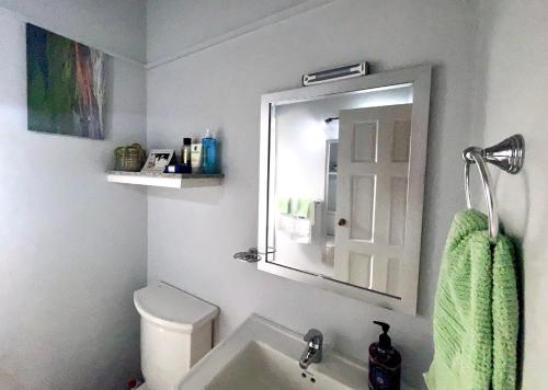 a bathroom with a sink and a mirror and a toilet at Villa Lu-Ja in Mount Cassell Land Settlement