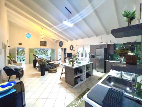 a large kitchen with stainless steel appliances and a living room at Villa Lu-Ja in Mount Cassell Land Settlement