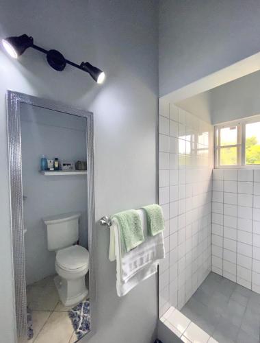 a bathroom with a toilet and a shower with a mirror at Villa Lu-Ja in Mount Cassell Land Settlement