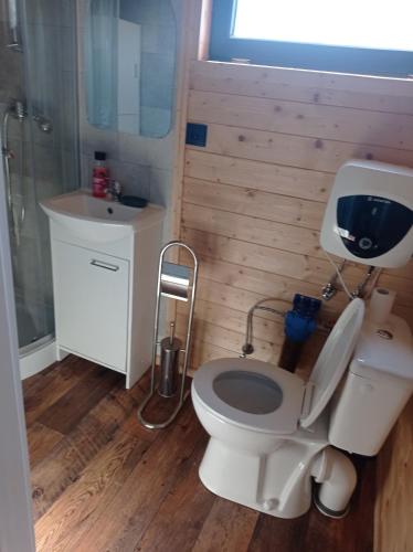 a bathroom with a white toilet and a sink at Domek mobilny nad rzeką Gdańsk in Gdańsk