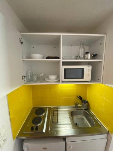 een kleine keuken met een wastafel en een magnetron bij Studio à la Timone proche metro in Marseille
