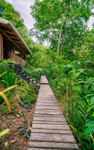 a wooden path leading to a cabin in a forest at La Shamana - Ecological Concept in Jungle in Cahuita