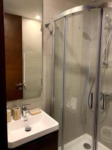 a bathroom with a glass shower and a sink at Dpto Pucon - Pinares 2D 2B in Pucón