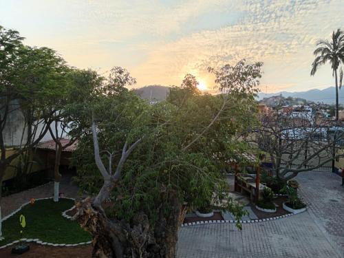 チャパラにあるCasa Vida Bellaの木のあるリゾートのバルコニーから景色を望めます。