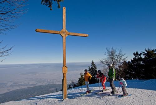 a group of people standing around a cross on a mountain at Schönblick Hohenbogen in Neukirchen beim Heiligen Blut