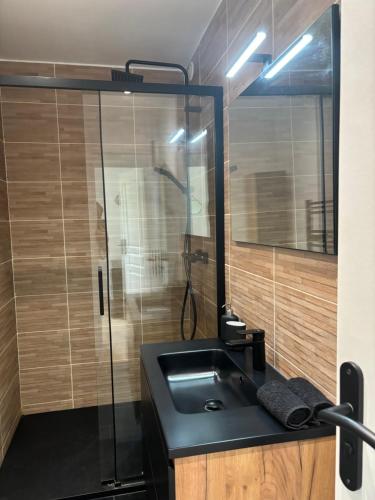 une salle de bain avec un lavabo et une douche en verre dans l'établissement Havre de paix au sein d'un T3 d'une bastide aixoise, à Aix-en-Provence