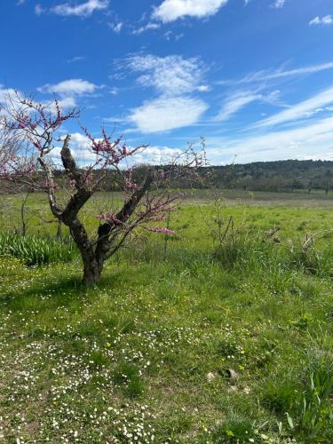 Naturlandschaft in der Nähe des Ferienhauses