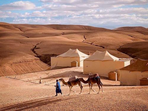 a man walking with two camels in the desert at Maison linda in Marrakech