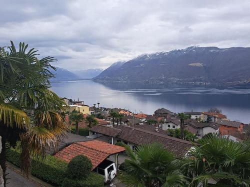 Foto dalla galleria di Rustico Tecett a Brissago