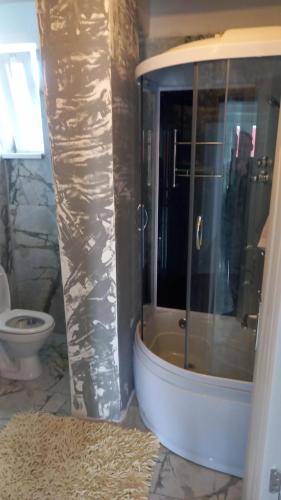 a bathroom with a shower and a toilet at Twins Residence 2 APART HOTEL Ap 6 2 rooms in Chiajna