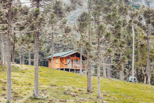 a wooden cabin on a hill with trees at Sítio caminho das nascentes in Urubici