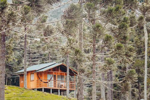 a wooden cabin on top of a hill with trees at Sítio caminho das nascentes in Urubici