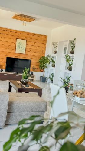 Μια τηλεόραση ή/και κέντρο ψυχαγωγίας στο Villa castros delmare