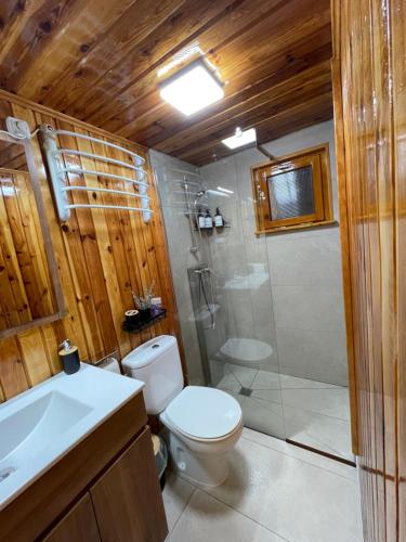 y baño con aseo, ducha y lavamanos. en Can Cabris, en Llagostera