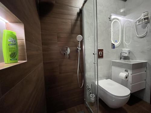 a bathroom with a shower with a toilet and a sink at Villa Dislievski in Ohrid