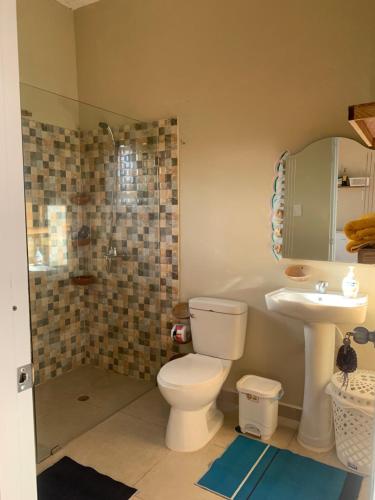 uma casa de banho com um WC, um lavatório e um chuveiro em Palma Real 1 em Madama