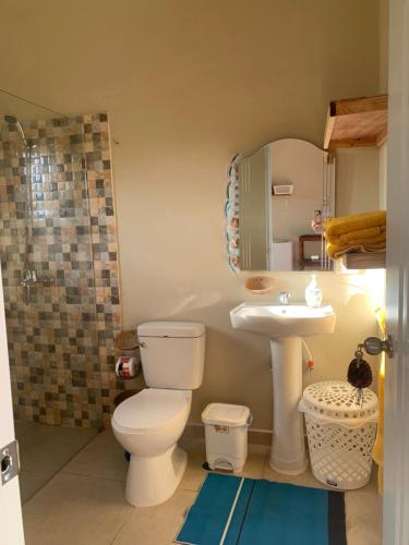 a bathroom with a toilet and a sink and a mirror at Palma Real 1 in Madama