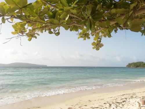 a view of the ocean from the beach at Palma Real 1 in Madama