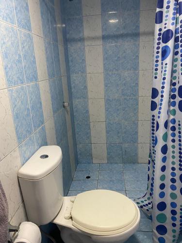 a bathroom with a toilet and a shower at Habitación en Centro Histórico in Lima
