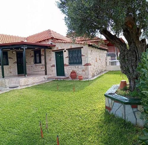 Κήπος έξω από το Olive tree villa