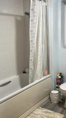 ein Bad mit einem Duschvorhang und einem WC in der Unterkunft Sweet Home in Bristol