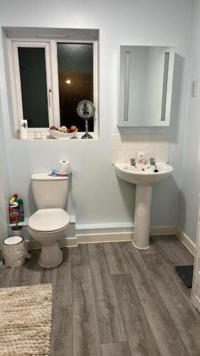 ein Bad mit einem WC und einem Waschbecken in der Unterkunft Sweet Home in Bristol