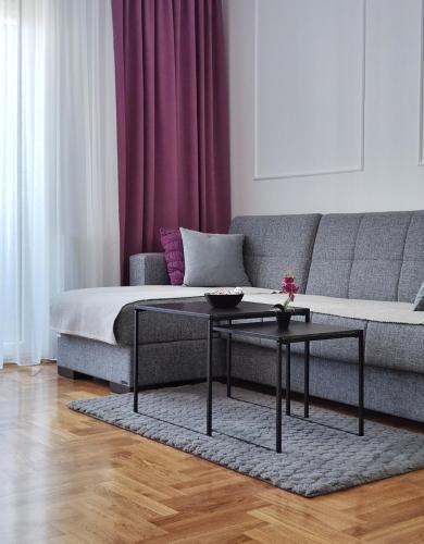 Posezení v ubytování Apartman NS PRIVATE PARKING